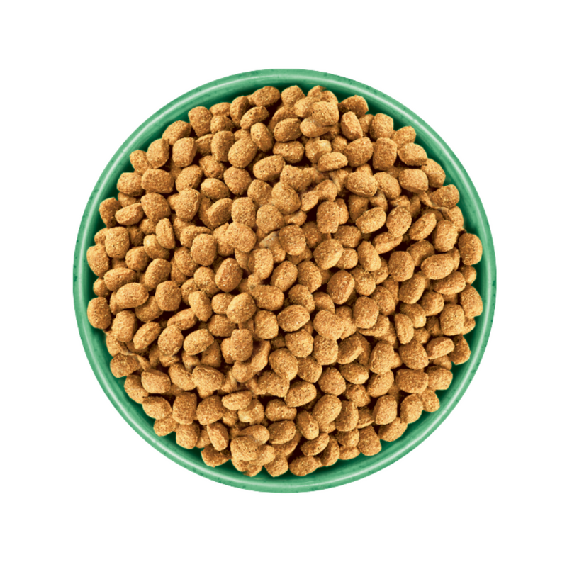 White background with a green bowl pictured filled with dog food kibbles. 