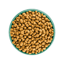 White background with a green bowl pictured filled with dog food kibbles. 