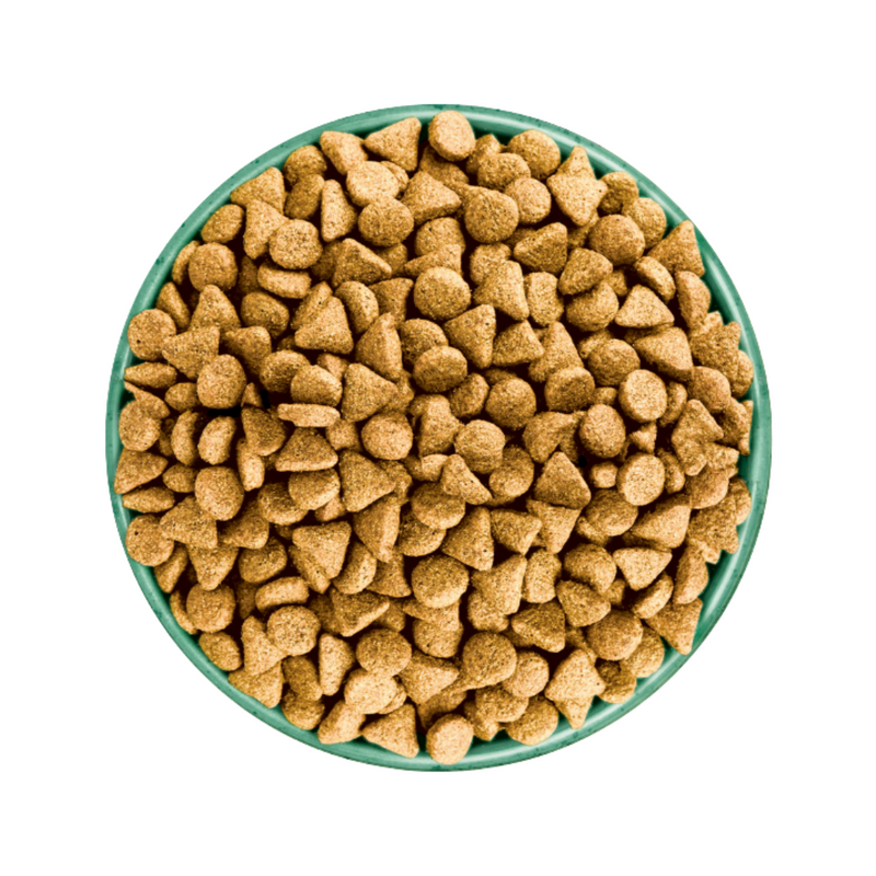 White background with a green bowl pictured filled with dog food kibbles. 