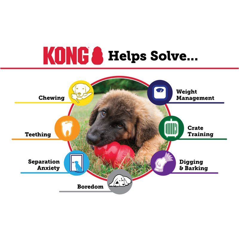 KONG Helps Solve inforgraphic