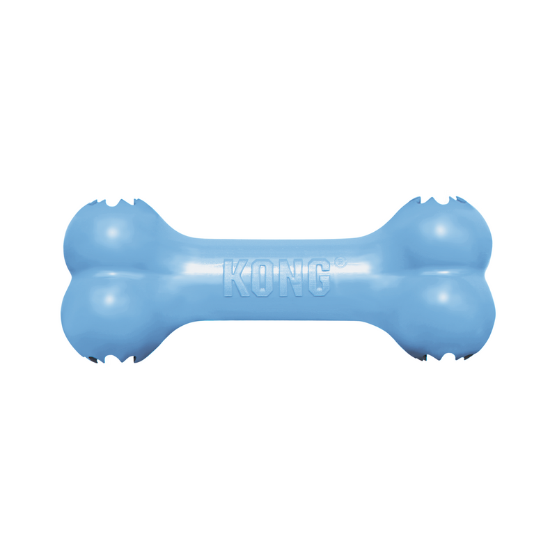 KONG puppy blue bone