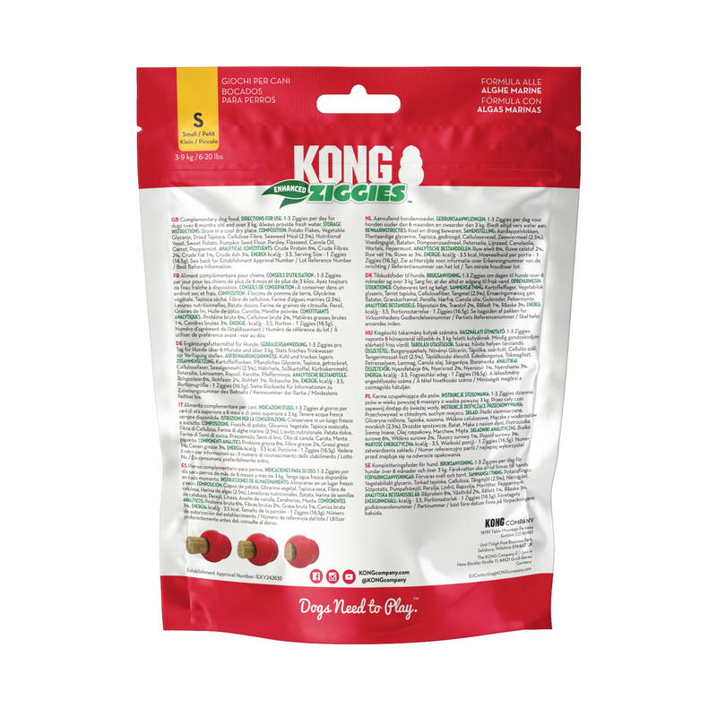 KONG Ziggies Back of Packet