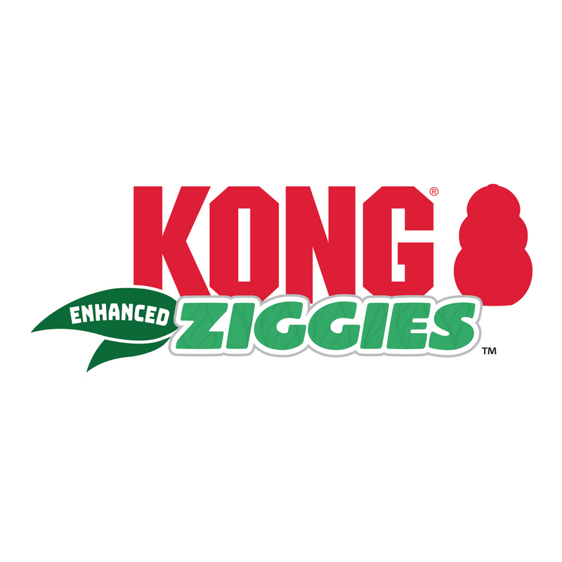 KONG Ziggies Logo