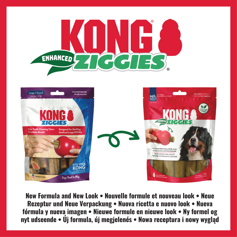 KONG Ziggies New Formula Infographic