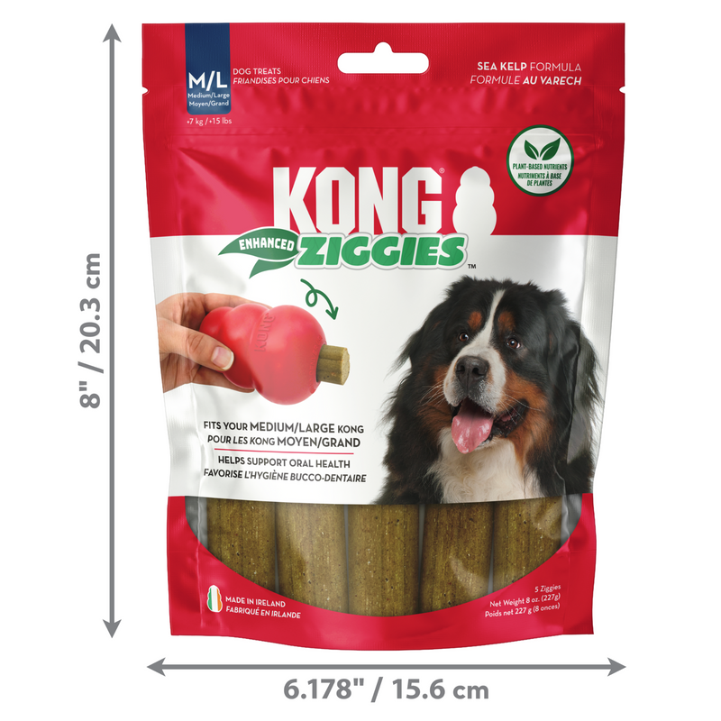 KONG Ziggies Packet Size