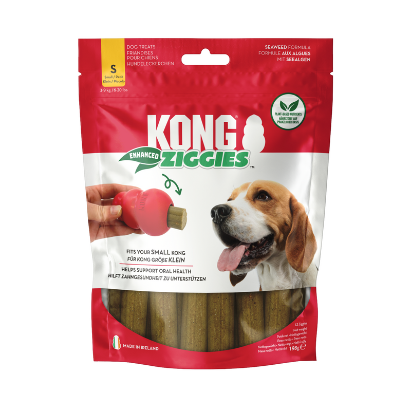 KONG Ziggies Small