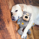 Yellow Labrador dog lying down with a KONG grey plush teddy bear dog toy with yellow patchwork patches on a wooden floor. 