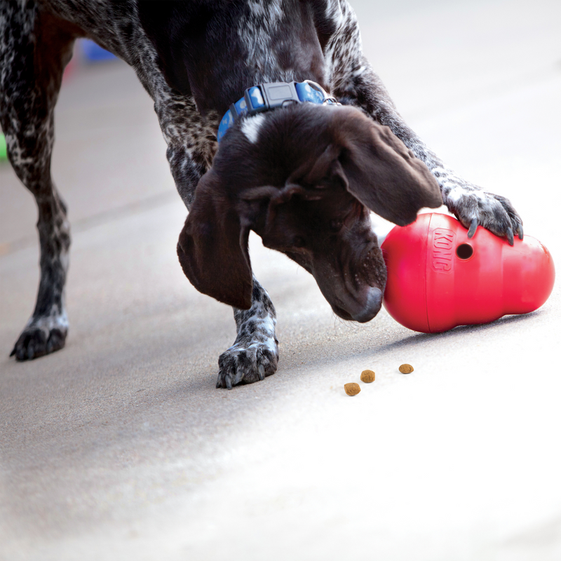 KONG Wobbler Toy