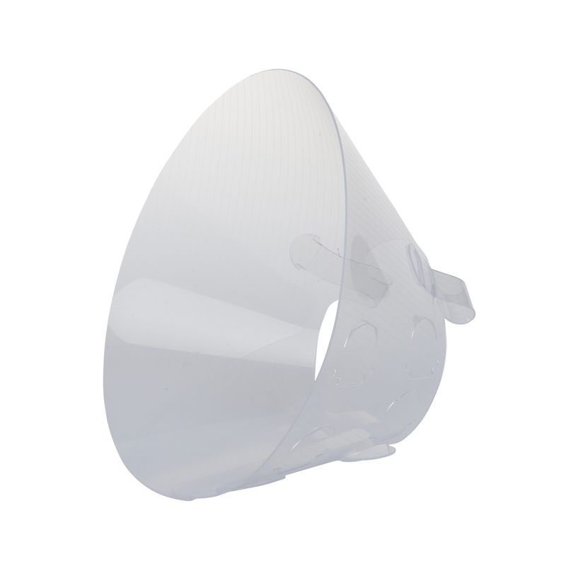 White background with an Elizabethan style transparent plastic recovery collar. 