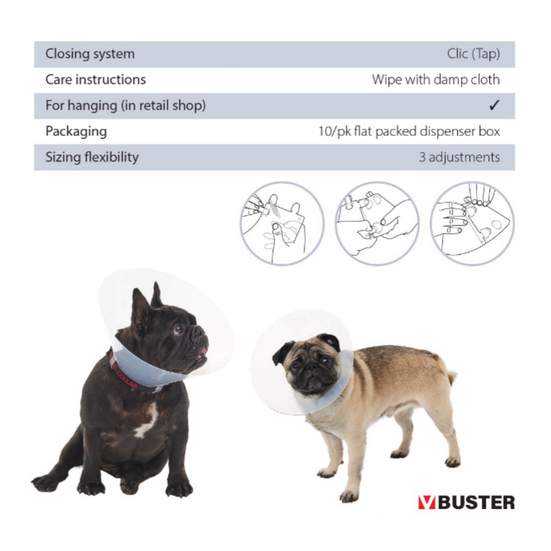 White background with a transparent plastic Elizabethan style recovery collar with a guide about how to care for the recovery collar. With two dogs wearing a recovery collars below. 