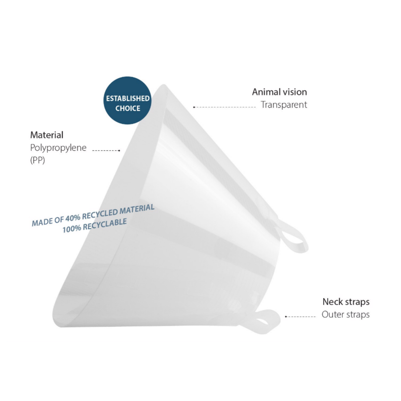 White background with a transparent plastic Elizabethan style recovery collar with details of features around it. 