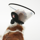 White background a brown and white collie type dog wearing a transparent plastic Elizabethan style recovery collar with a black base, with it's back to the camera.  