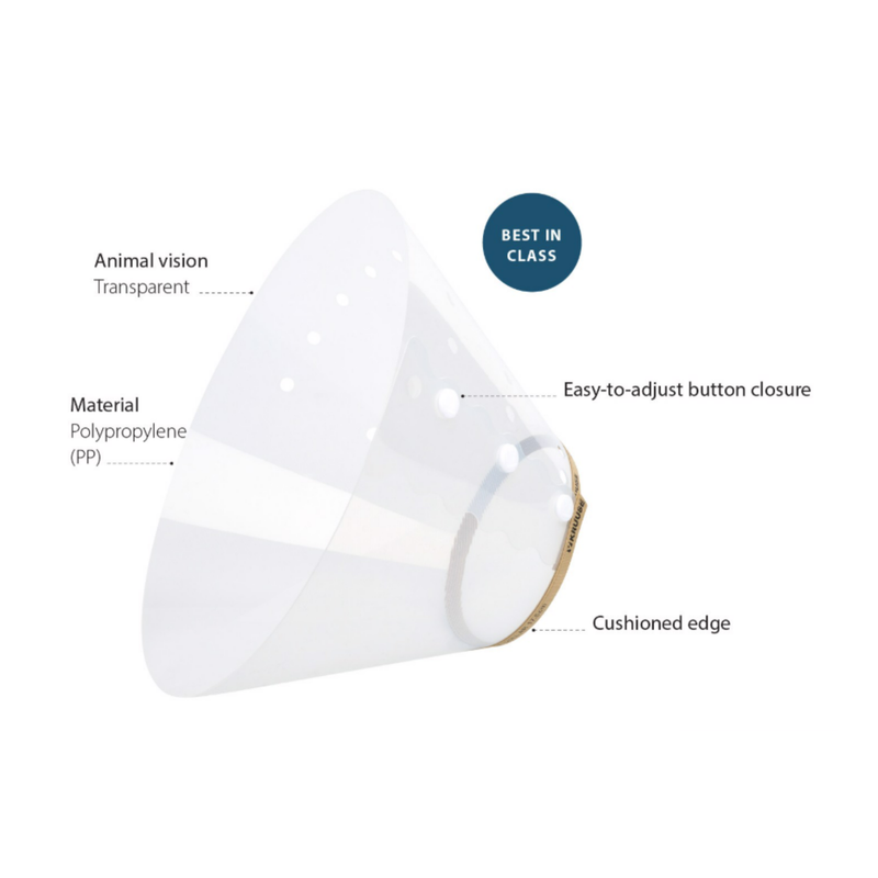 White background with a transparent plastic Elizabethan style recovery collar with details of features around it. 