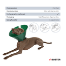 White background with a green plastic Elizabethan style recovery collar with a guide about how to care for the recovery collar. With a dog wearing a recovery collar below. 