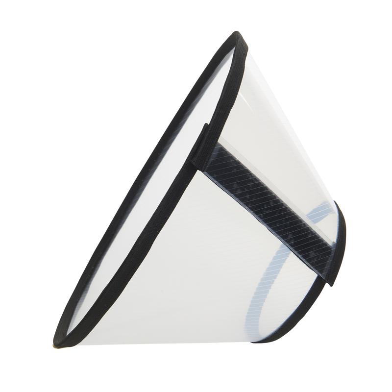 White background with an Elizabethan style transparent plastic recovery collar with black fabric trimming. 