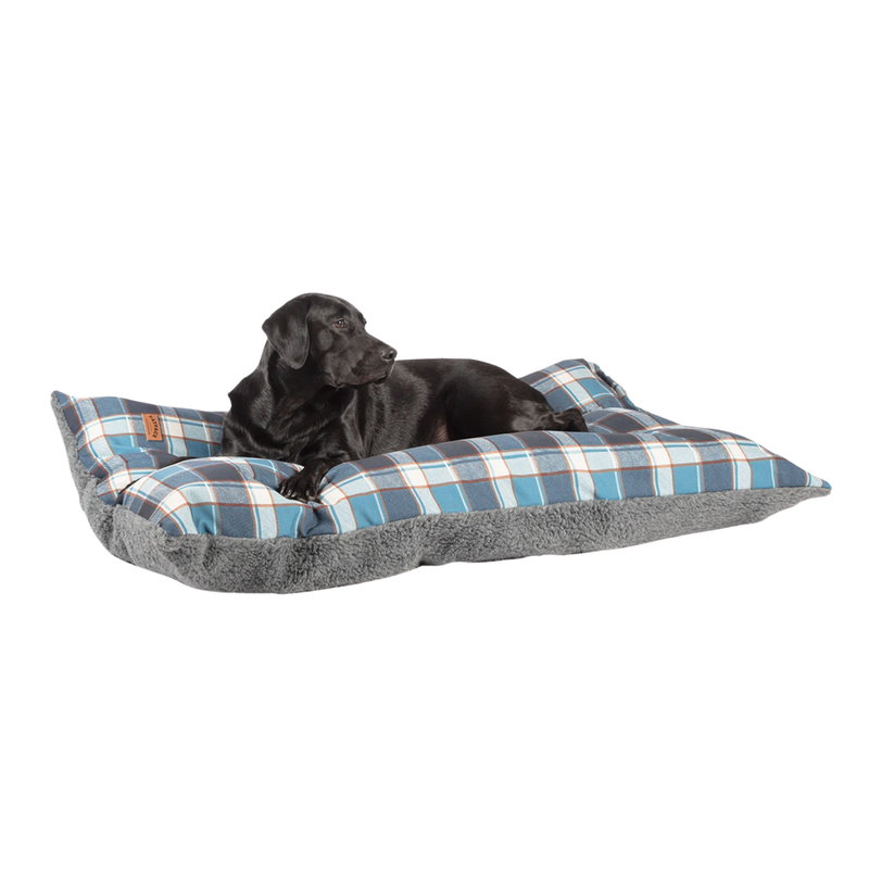 Black adult Labrador lying on a pillow-type blue checked dog bed with a grey underside pictured on a white background. 