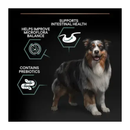 Black background with a tricoloured collie dog pictured. Next to the dog is text 'Support intestinal health, Helps balance Microflora balance, Contains Prebiotics'. 