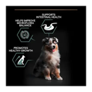 Black background with a tricoloured collie puppy pictured. Next to the Puppy is text 'Supports intestinal health, Helps improve Microflora, Promotes healthy growth'. 