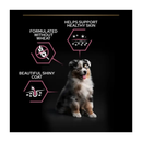 Black background with a tricoloured collie puppy pictured. Next to the Puppy is text 'Helps support healthy skin, Formulated without wheat, Beautiful shiny coat'. 