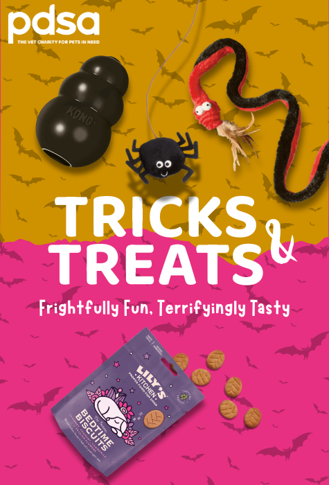 PDSA Halloween pet treats packaging with black dog toys and a pink bag on a yellow and pink background.