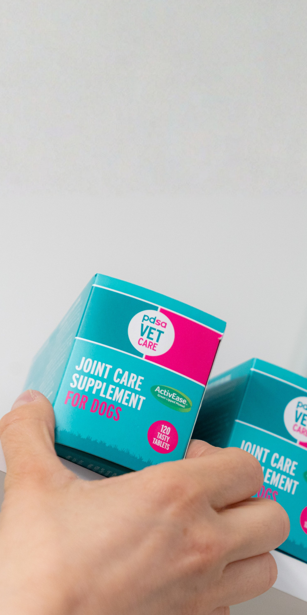Cat Joint Support - Vet-Approved Joint Supplements and Food – PDSA Pet ...