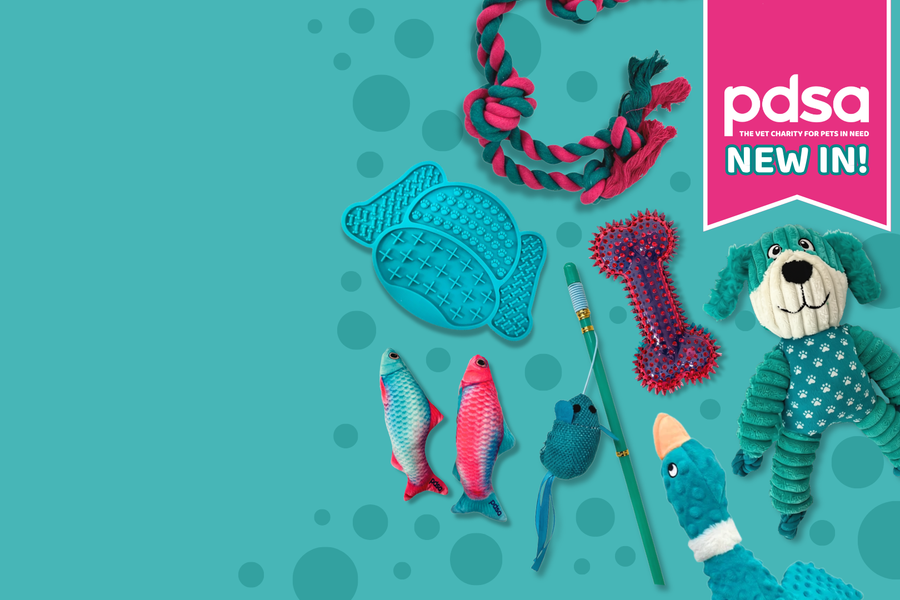 A collection of colorful dog toys arranged on a teal background with a pink 'pdsa NEW IN!' banner in the top right. The toys include a braided rope toy, a pink bone-shaped toy, two fish-shaped plush toys, a blue plush mouse toy on a stick, and a blue plush dog toy with white pawprints.