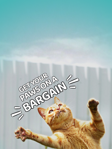 An orange tabby cat stretches upward with its paws extended against a white fence and turquoise sky background, with the text 'GET YOUR PAWS ON A BARGAIN' overlaid across the center.
