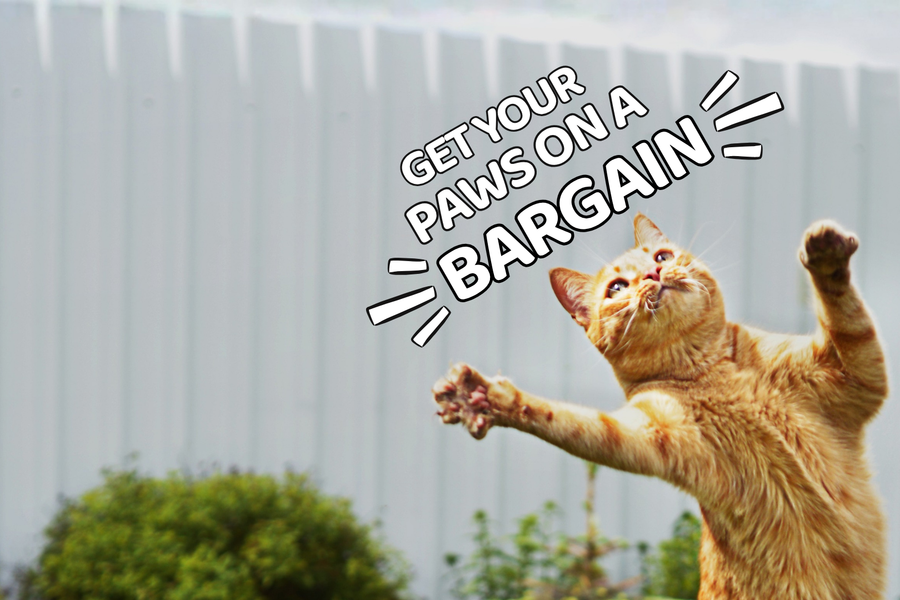 An orange tabby cat stands on its hind legs with paws raised in front of a white fence, with the text 'GET YOUR PAWS ON A BARGAIN' overlaid in a bold comic-style font.