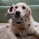 Golden Retriever with a grey dog dog toy made from soft cord effect fleece material with red 'PF' stitched on hip, wearing a red Christmas hat. Pictured in a living room setting with a green sofa in the background. 