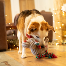 Tri-coloured adult dog playing with a grey reindeer dog toy with green and red twisted rope for legs and red fabric antlers, pictured in a living room with fairy lights in the background. 