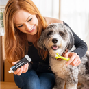 Photo of a lady holding a tube of Petosan Toothpaste and a Petosan Double-headed Toothbrush for dogs, with a grey and white dog under her arm. 