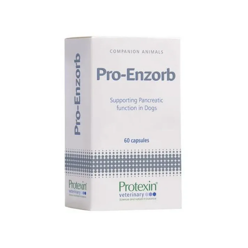 White background with a white box of Protexin Pro-Enzorb for dogs. Text on the box says 'Supporting Pancreatic function in Dogs. 60 capsules.' 