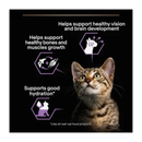 Black background with a brown tabby kitten pictured next to text 'Helps support healthy vision and brain development, Helps support healthy bones and muscles growth, Supports good hydration.'