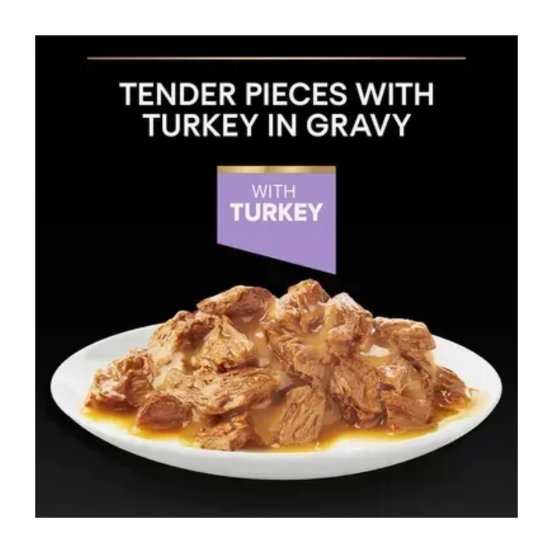 Black background with a white plate of Pro Plan kitten wet food pictured above the plate is text 'Tender pieces with Turkey in Gravy'. 