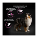 Black background with a tricoloured collie dog pictured. Next to the dog is text 'Improves curiosity and responsiveness, Helps promote interaction with family, Helps maintain healthy mobility. 