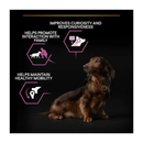 Black background with a long haired dachshund pictured. Next to the dog is text 'Improves curiosity and responsiveness, Helps promote interaction with family, Helps maintain healthy mobility'. 