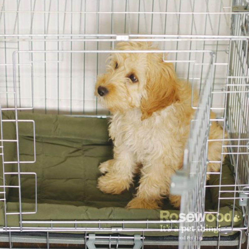 Young cockerpoo dog inside a dog crate sat on a Water Resistant green dog crate mattress. 