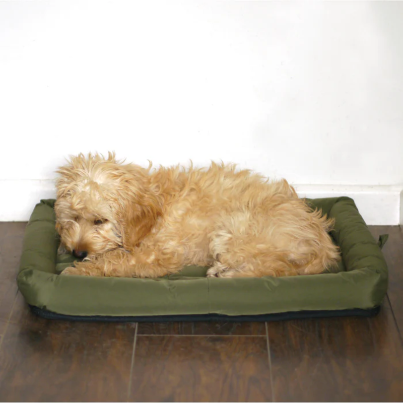 Young cockerpoo dog sat on a Water Resistant green dog crate mattress on a hardwood floor. 