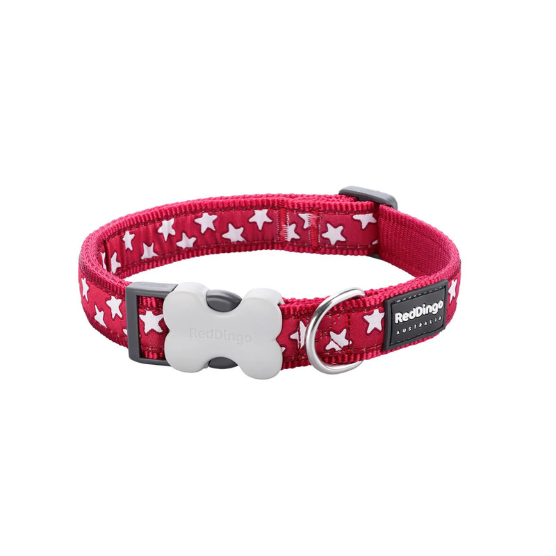 White background with a red 'Red Dingo' dog collar with white stars on it. 