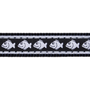 White background with a close up view of a black cat collar with silver reflective fish on it. 