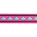 White background with a close up view of a hot pink cat collar with silver reflective fish on it. 