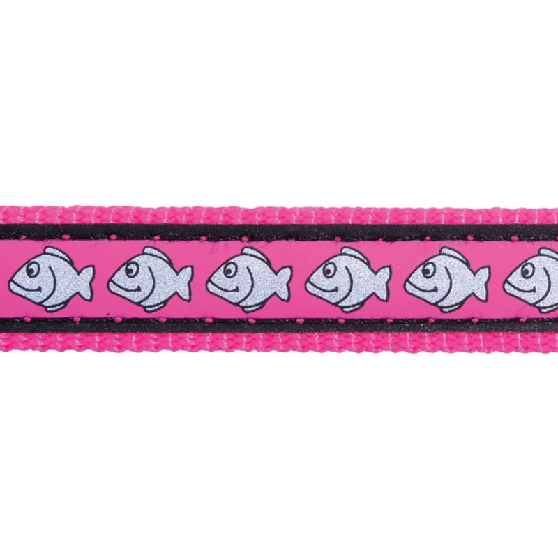 White background with a close up view of a hot pink cat collar with silver reflective fish on it. 