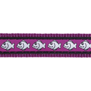 White background with a close up view of a purple cat collar with silver reflective fish on it. 