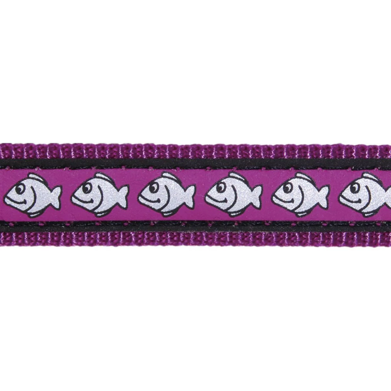 White background with a close up view of a purple cat collar with silver reflective fish on it. 