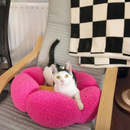 Black and white adult cat lying on a pink flower shaped cat bed with a yellow centre, pictured on a grey chair with a black and white checked throw on the back of the chair. 