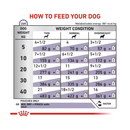 Royal Canin Adult wet dog food feeding guide.