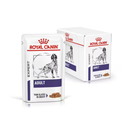 White background with a box of wet dog food pouches with an English Setter dog pictured on the box, text on the box says 'Royal Canin Expert, Adult, Thin slices in gravy' In the foreground is a pouch with the same text and style as the box. 