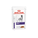 White background with a pouch of wet dog food with an English Setter dog pictured on the packet, text on the pouch says 'Royal Canin Expert, Adult, Thin slices in gravy.'