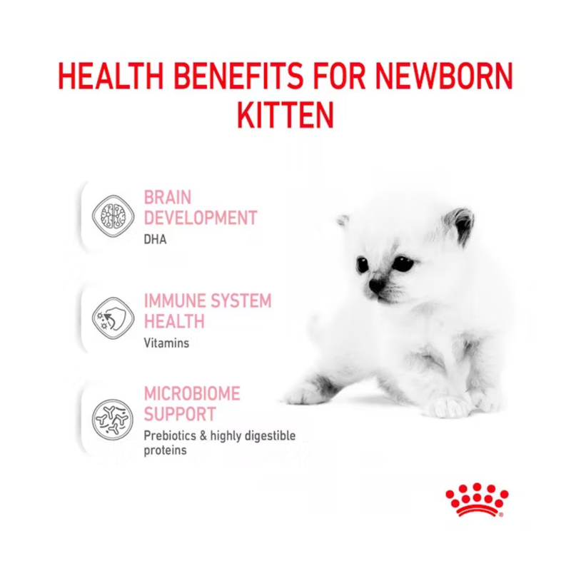 White background with a small white kitten pictured. The title above in red says 'Health benefits for newborn kitten' Next to the kitten are three points 'Brain Development - DHA, Immune System Health - Vitamins, Microbiome Support - Prebiotics & highly digestible proteins'. 