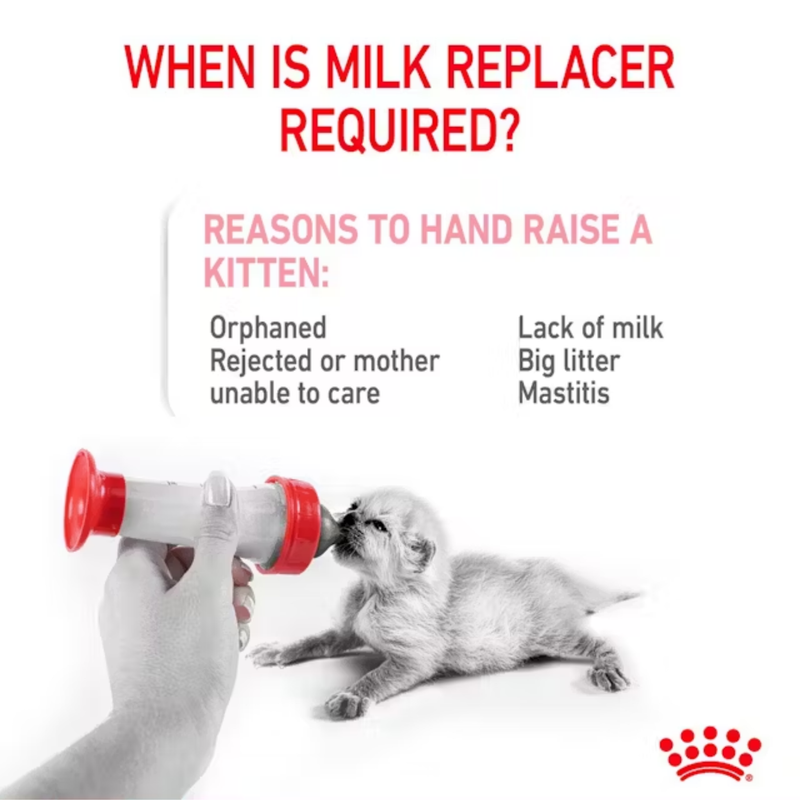 White background with a small white kitten being bottle fed pictured. The title above in red says 'When is milk replacer required' Below text says 'Reasons to hand raise a kitten', 'Orphaned, Rejected or mother unable to care, Lack of milk, Big litter, Mastitis'. 